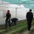 Niemcy praca w szklarni przy zbiorach warzyw Berlin 2014